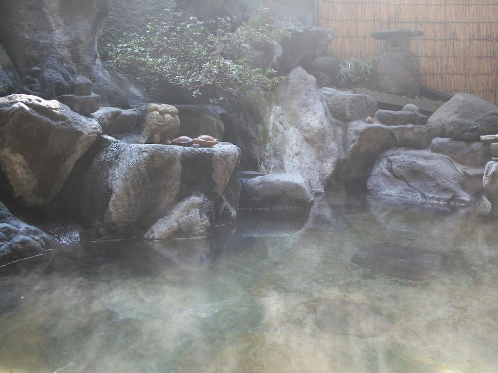 村のホテル　住吉屋 野沢温泉村 エクステリア 写真